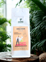 Ethiopia Natural Anaerobic Gera Estate