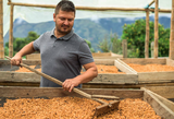 Anaerobic Honey Geisha Colombia Farm